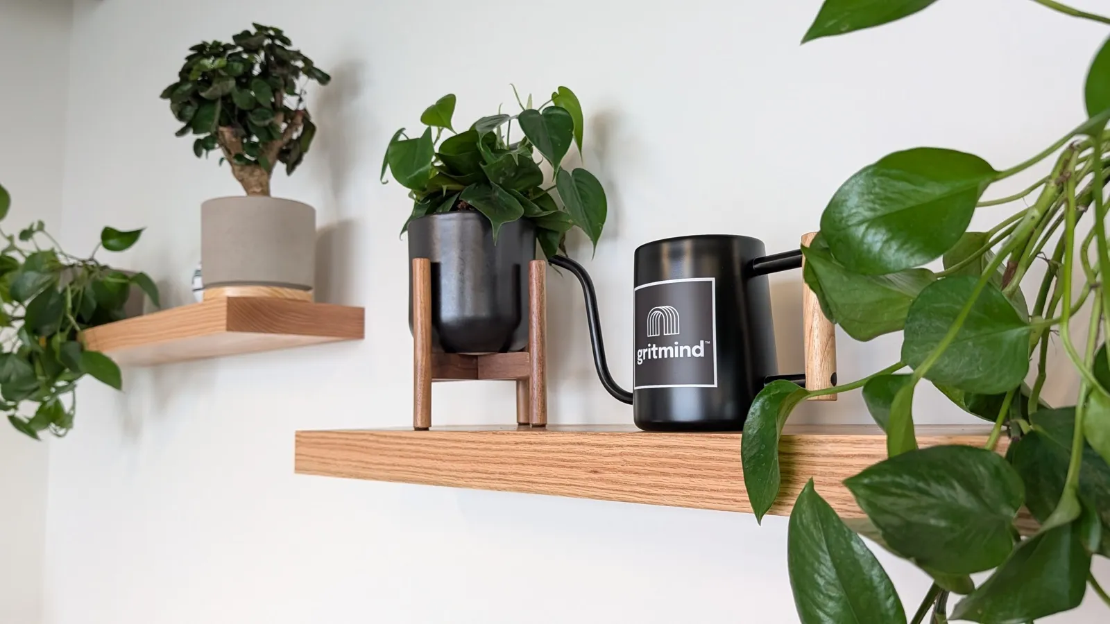 A gritmind mug tucked between plants on an oak office shelf